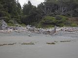 Olympic Peninsula 035